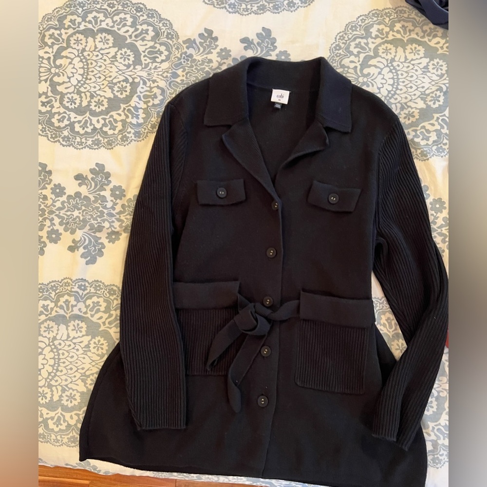 Cabi Sweater